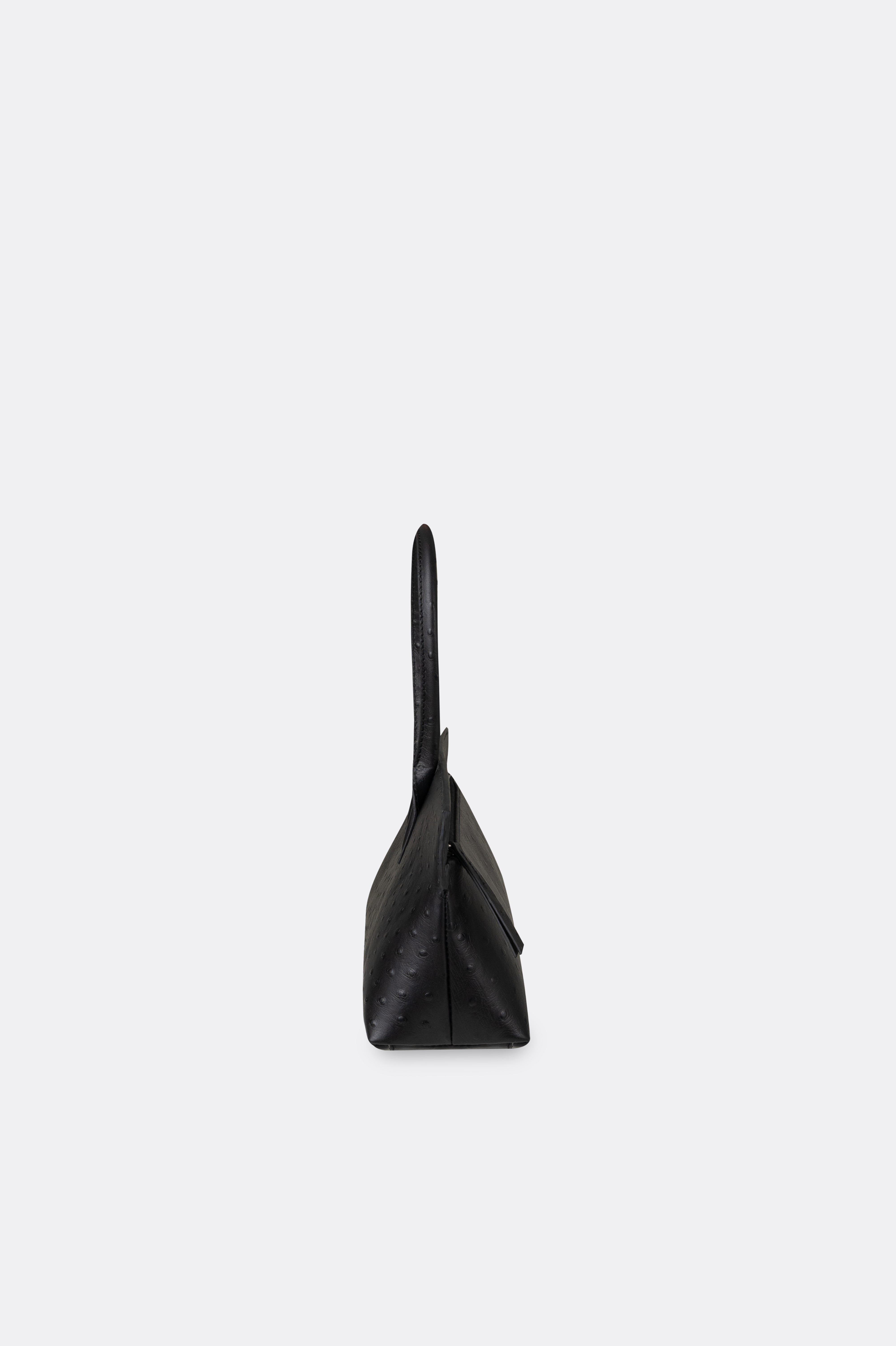 Ace Baguette Bag Ostrich Black
