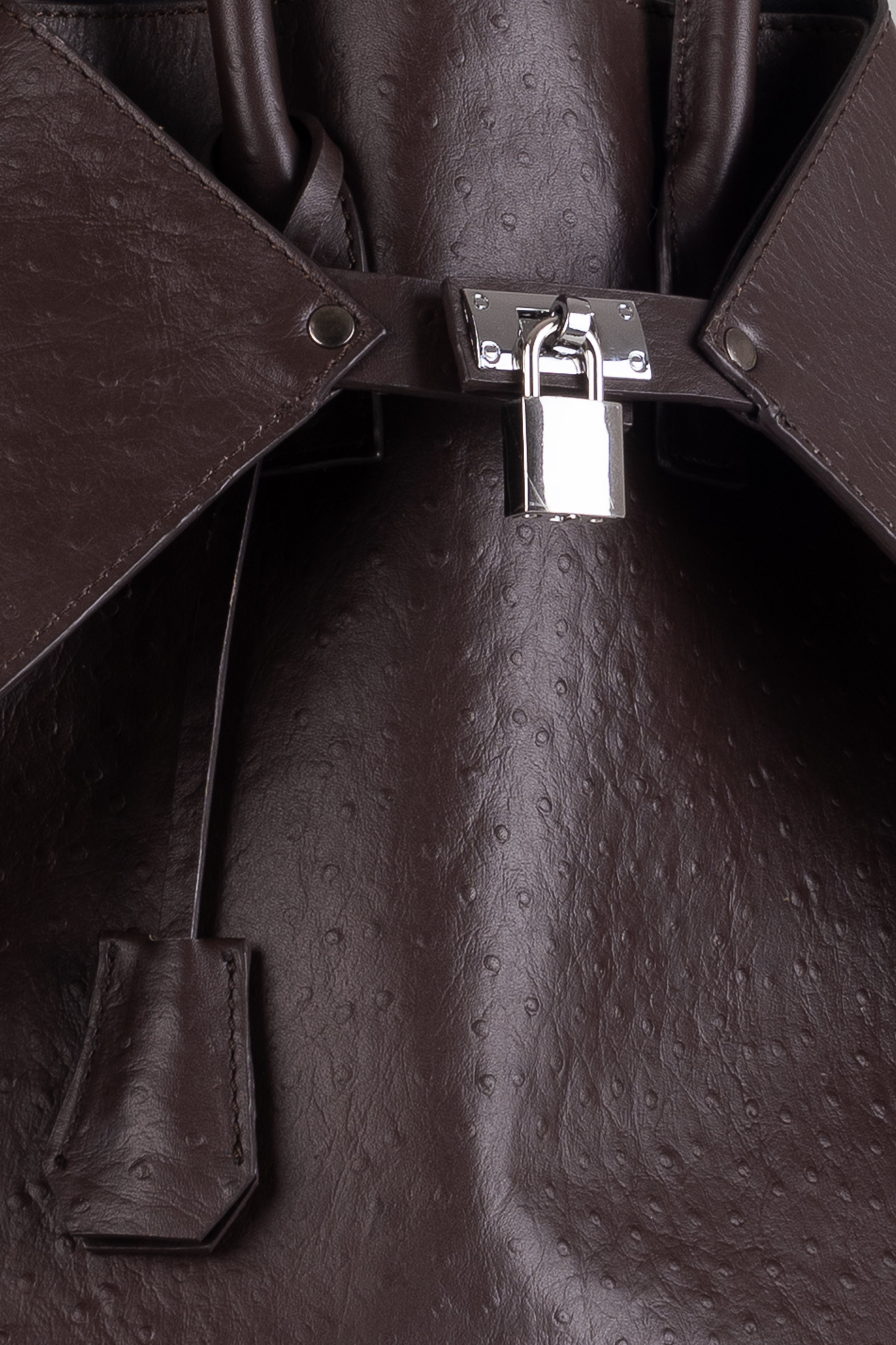 Closer Backpack Ostrich Brown